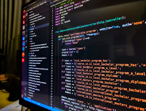 Website Development